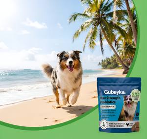 <span class=keywords><strong>Max</strong></span> Strength Probiotiques pour chats – Friandises à mâcher souples au poisson – Super durcisseur de selles – Fibres et enzymes digestives – Réduit la diarrhée occasionnelle - Product Image 2