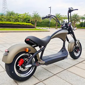 EU warehouse two wheel electric scooters 2000w 60v 20ah battery EEC COC citycoco electric motorcycle for adult use