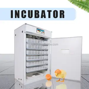 Termostato para incubadora, incubadora 5000 ovos para incubadora