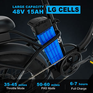 20 Inch 48V 22.5Ah 500W S5 Black White Fat Tire Electric <strong>Bike</strong> Lightweight Shimano 7 Digital Factory Discount for City <strong>Girls</strong> - Product Image 6