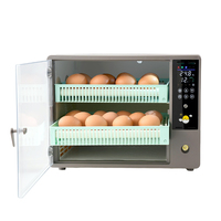 Petit incubateur d'oeufs poulet canard caille utilisant un mini incubateur d'oeufs 50