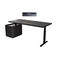 Bureau de designer d'intérieur ergonomique en bois massif de haute qualité, style moderne, bureau électrique à hauteur réglable