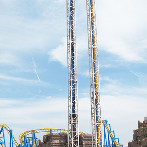 Large Outdoor Amusement Equipment Family <b>Entertainment</b> Center Equipment 32 Riders Thrill Tower Ride - Product Image 5