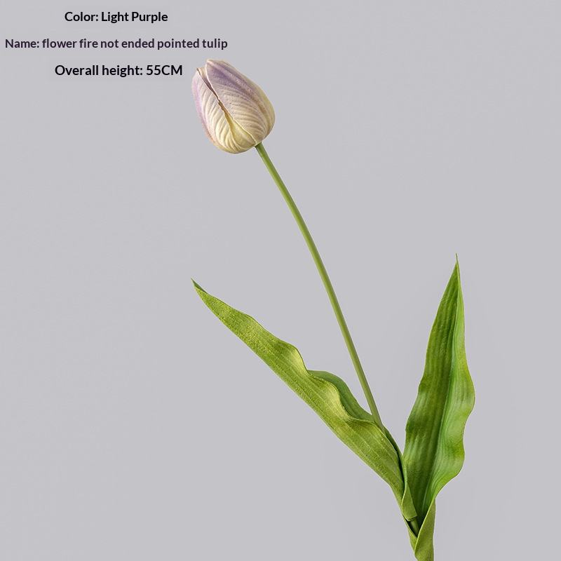 สีม่วงอ่อน