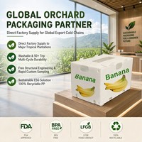 Boîte à bananes en plastique ondulé PP personnalisée en usine, caisse d'expédition réutilisable pour produits frais, emballage ventilé pour fruits