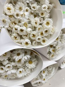 Fleurs de chrysanthème séchées naturelles 'White Daisy' à longue durée de vie pour la décoration intérieure, la Saint-Valentin, les mariages et comme garniture de <span class=keywords><strong>millet</strong></span> - Product Image 2