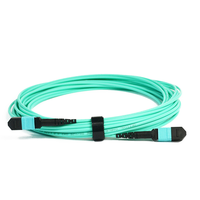 Yüksek Kaliteli 12 Çekirdekli MPO Push Pull Tab Trunk Kablosu, Veri Merkezi/FTTX Kullanımı için Aqua Kılıflı