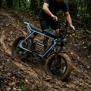Moto tout-terrain robuste électrique avec frein hydraulique, E-Dirt Bike robuste pour le sable et la boue - Product Image 5