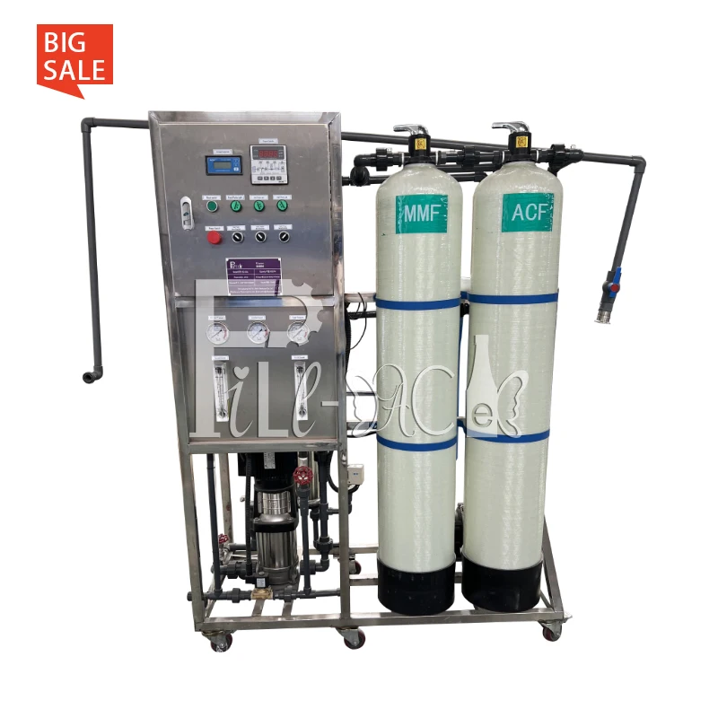 Stainless Steel 500lph Drinking Water Treatment System With 4040 Membrane