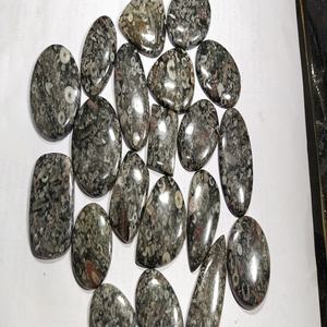 Fósil de Crinoides de la Mejor Calidad, Mezcla de Formas Sueltas, Piedra Preciosa Natural de Rajastán para la Fabricación de Joyas, Precio al por Mayor - Product Image 4