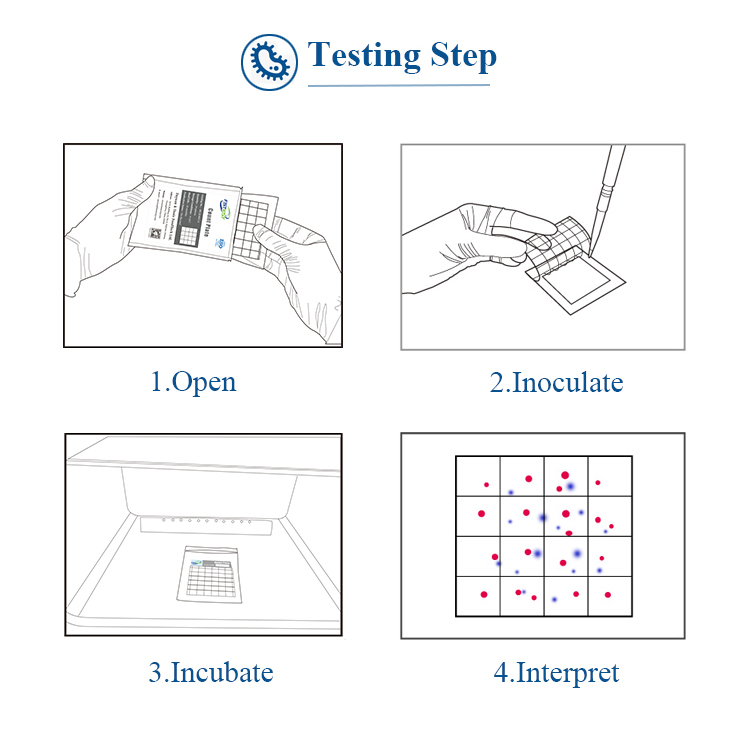 FSTest Foodborne Pathogens Salmonella Screening Media Plate Milk Bakery Beverage Eggs Meat Test