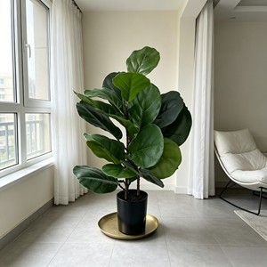 Wholesale Fiddle-leaf fig <b>Tree</b> – Large Potted Faux Green Plant for Home Office Décor - Product Image 6