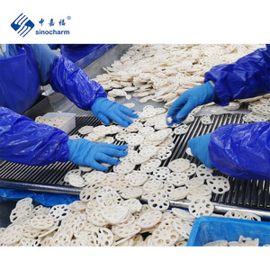 Sinocharm HALAL IQFロータスルートファクトリー沸騰IQF冷凍ロータスルートスライス輸出用 - Product Image 3