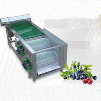 2024 Meest Populaire Kersen En Bluecherry Sortering Bosbessen Sorteerder Koffiebonen Maat Automatische Bosbessen Sorteermachine