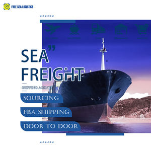 Le prix le plus bas pour le fret maritime de Chine vers le Chili, le Venezuela et l'Argentine avec livraison DDP (droits de douane inclus) - Product Image 4