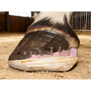 馬のホーフリペアファリエ用耐久性のある円錐ブロックワークショップ用品 - Product Image 3