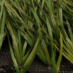 Cỏ Đá Cancha Nhựa Nhân Tạo Sân Cỏ Nhân Tạo Đá Banh - Product Image 2