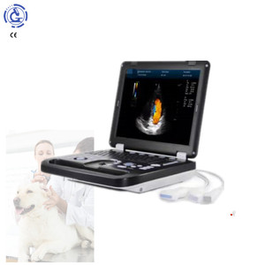 Ultrasonografi Doppler Warna Jantung dan Pembuluh Darah HD Live - Product Image 1