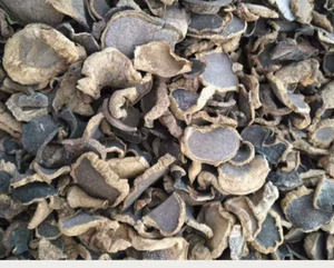 Fungo Rhizopogon Roseolus Crudo Affettato Essiccato, Falso Tartufo Selvatico in Vendita - Product Image 4