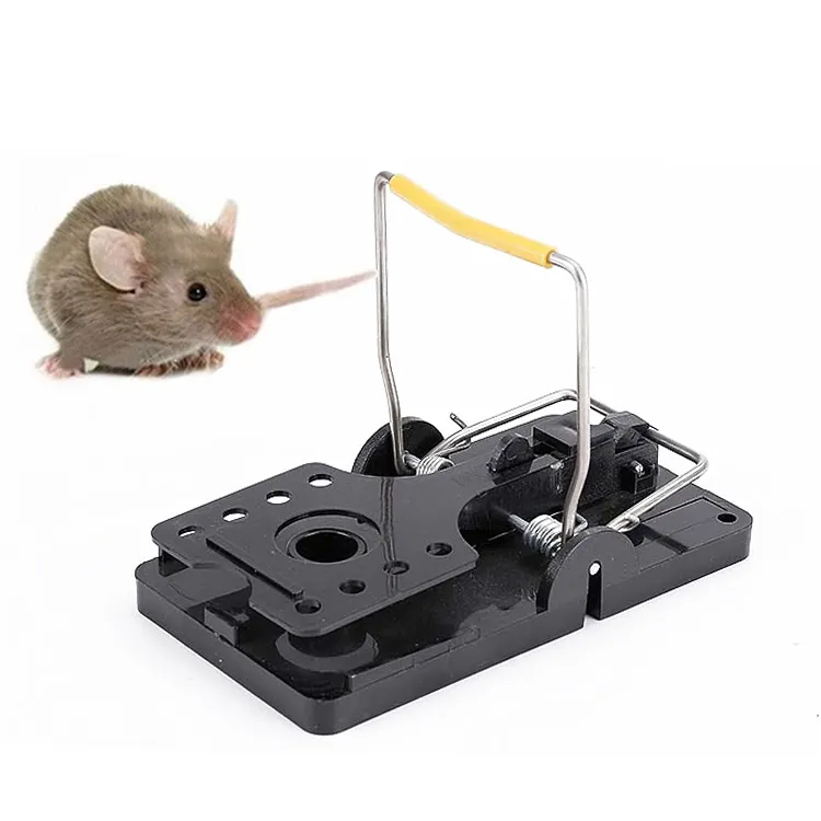 Physical effective mouse trap rodent reusable killer catch 6 pack black metal mice mouse snap trap