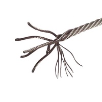 Câble en acier inoxydable pour ascenseur, diamètre 6 mm, 304/316L en spirale
