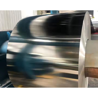Tôles de Toiture en Aluminium-Zinc Revêtues, Épaisseur 0,7 mm et 1 mm, Bobines d'Acier Aluzinc/Galvalume/Galvanisé en Gros