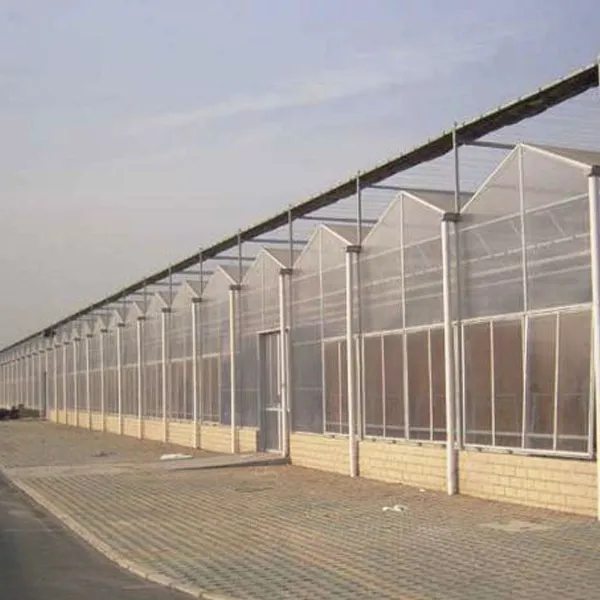 Polycarbonate Greenhouse and Hydroponic Growing System for Tomato and cucumber