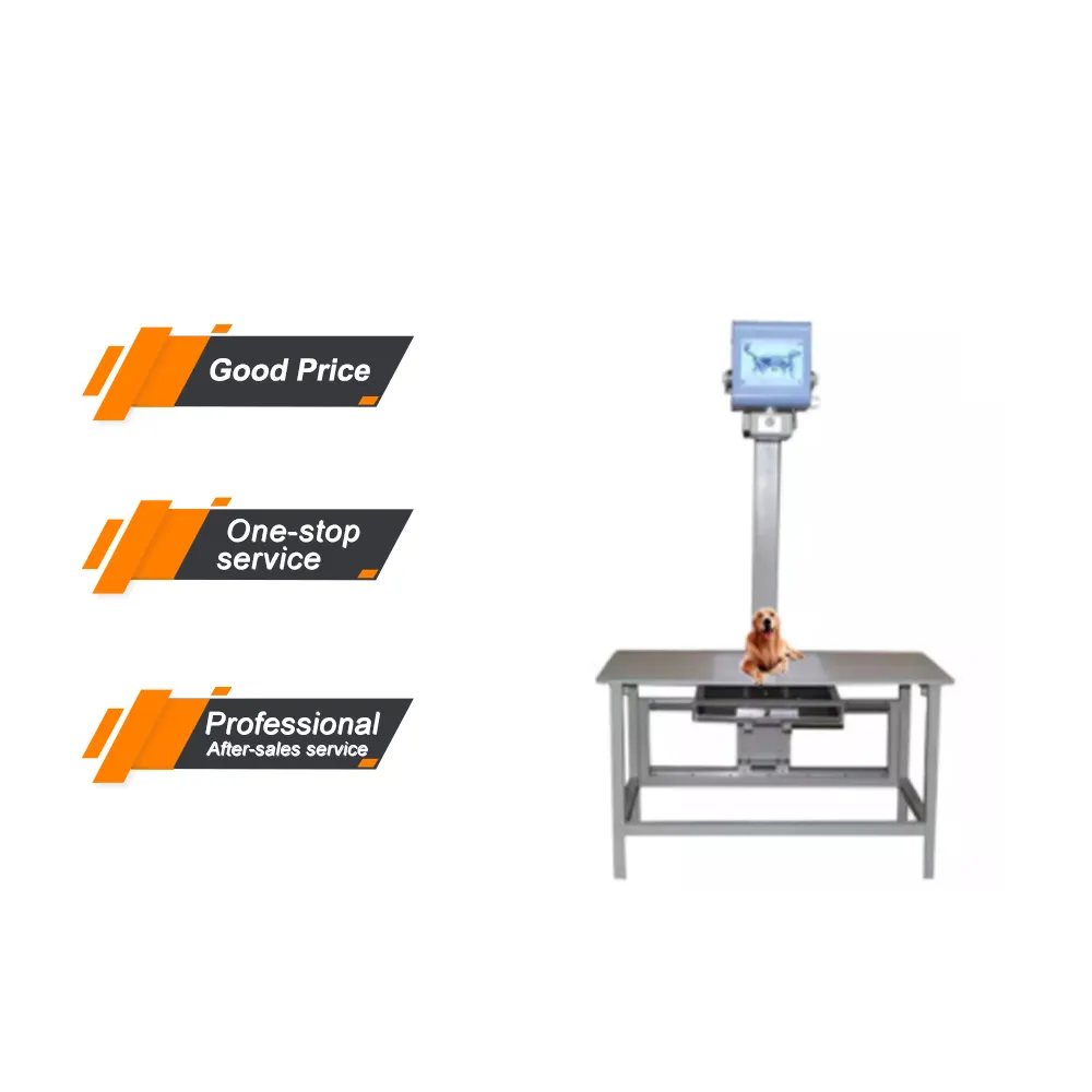 MY-W004-2 Offre Spéciale vétérinaire DR X Ray Table petit animal Xray Fluoroscopie équipement fixe vétérinaire X Ray Machine