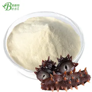 Factory Supply Pure Sea Cucumber Peptide Powder