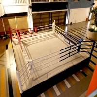 Ring de boxe pliable sur mesure, plateforme d'entraînement portable et repliable avec toile et structure en acier pour salle de sport, club, maison, compétition