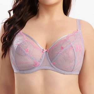 Venda quente Bordar Lace Anti-Flacidez Malha Sexy Sutiã Das Mulheres Set Alças De Ombro Ajustáveis Plus Size Lingerie Sexy - Product Image 1