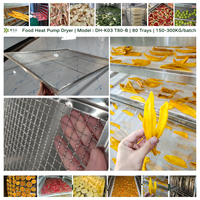 Machine de séchage industrielle pour oignons DH-K03, 200 kg/lot |   Déshydrateur à pompe à chaleur haute capacité pour le traitement des légumes et des aliments