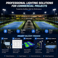 Iluminación LED para Canchas de Pickleball, Exterior, Antideslumbrante, IP66, Resistente al Agua, 200W 300W, para Parques Comunitarios y Canchas Residenciales