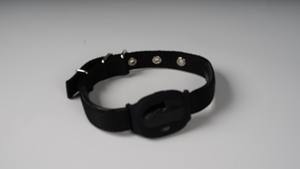 IP67 Водонепроницаемый мини 4G LTE ошейник для домашних животных <span class=keywords><strong>GPS</strong></span> локатор голосового положения в режиме реального времени SIM-карты смарт-Hound <span class=keywords><strong>Cat</strong></span> Dog <span class=keywords><strong>GPS</strong></span> трекер - Product Image 6