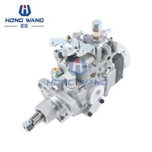 Ensemble de pompes à injection de carburant HongWang à couple élevé personnalisé 0460424316 504067495 pour moteur Fiat 60KW NEF 4.4L, garantie 1 an - Product Image 1