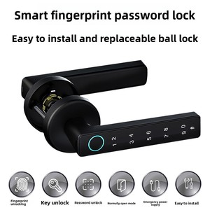 Graffiti Im Lặng Cửa Gỗ Văn Phòng & Căn Hộ Một Tay Mở Kẽm Hợp Kim Key Cho Tuya Ứng Dụng & Vân Tay Mật Khẩu Khóa Đám Mây - Product Image 2