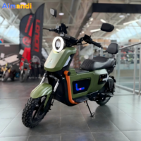 Moto électrique personnalisée de 1000 W haute puissance avec autonomie ultra-longue, vitesse maximale de 50 km/h, homologuée, fabriquée en Chine