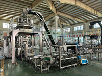 Machine automatique de pesage, remplissage et scellage VFFS pour vis, écrous, clous et pièces métalliques de qualité alimentaire, avec contrôle PLC pour sacs