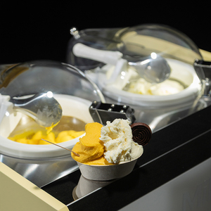 La <span class=keywords><strong>Primera</strong></span> Máquina de Helados de Mesa de 2 Cilindros del Mundo, Opciones de Leche y Frutas, Tolva Doble de 5L, Certificación Energy Star, Máquina de Mostrador - Product Image 2
