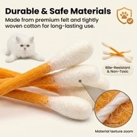 Jouet à mâcher interactif et durable en feutre de laine écologique avec herbe à chat bio pour chats