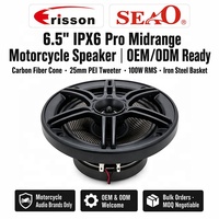 OEM ODM Haut-parleur moto 6,5 pouces IPX6 2 Ohms, panier en acier, moteur en ferrite, grille personnalisée, logo de marque, 500 paires minimum, noir, 12V CC
