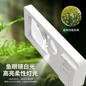 Portable Magnifying Glass 3X-10X LED Light Educational Teaching Tool - Product Image 2