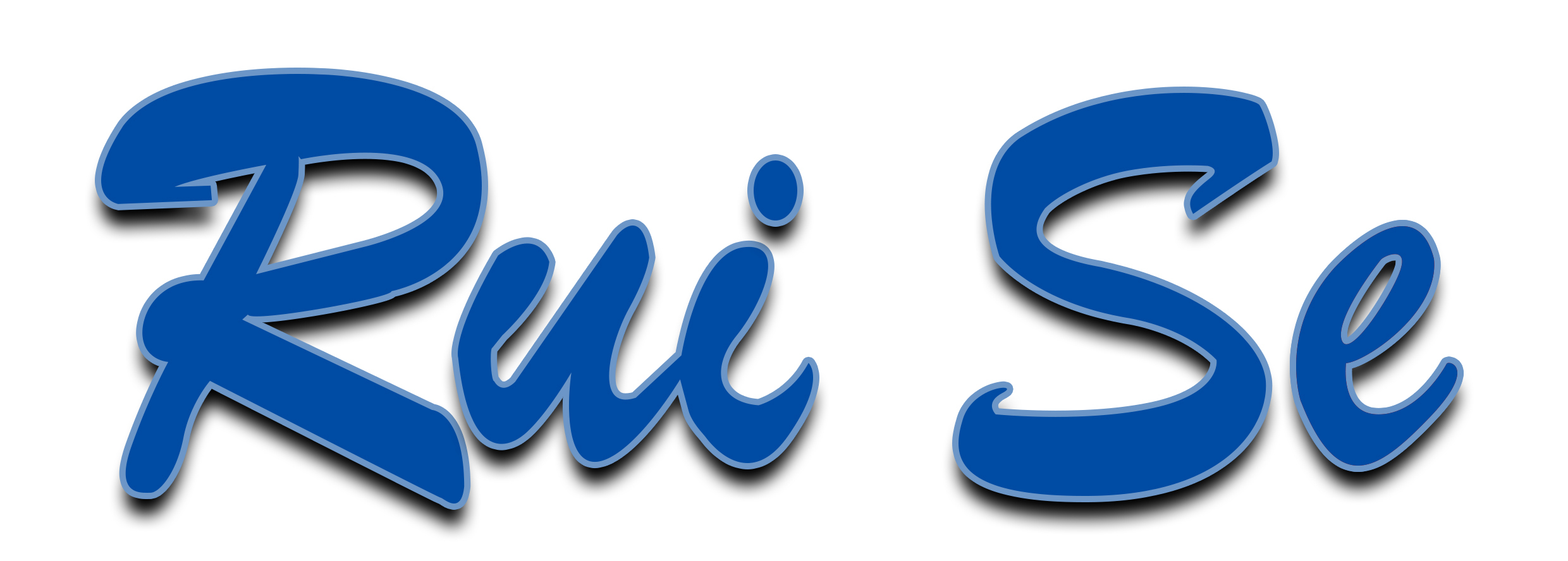 Xiamen Ruise Technology Co., Ltd.