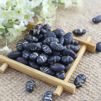 Haricots noirs grillés à sec et sains sans OGM Snack Soja salé croustillant avec saveur douce emballé en vrac ou en sac