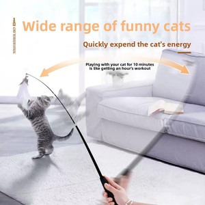 Thân thiện với môi cổ điển lông mèo trêu chọc thanh với mở rộng lưu trữ không sợ uốn hoán đổi cho nhau Thiết kế đầu - Product Image 5