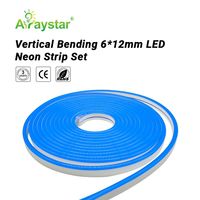 Lampu Neon Strip LED Kustom 5050 12V 24V Silikon Fleksibel Tahan Air Lampu Neon IP67 Tali Neon Fleksibel Led