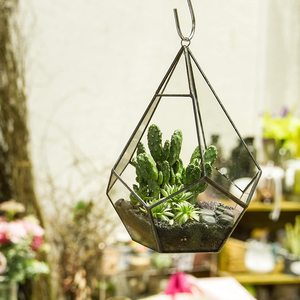 Moderne Innen öffnung <span class=keywords><strong>Teardrop</strong></span> Form Pflanzer Topf Glas Geometrisches <span class=keywords><strong>Terrarium</strong></span> Wandbehang Glas Geometrisches <span class=keywords><strong>Terrarium</strong></span> für Sukkulente - Product Image 4