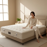Matelas anti-pression à faible densité ignifuge pour chambre à coucher Matelas pour dormeurs latéraux