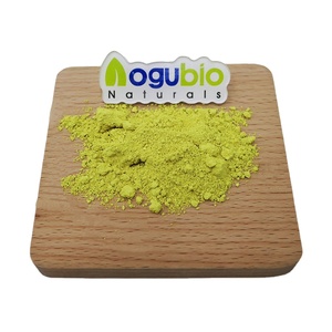 Extrait naturel de Sophora japonica Rutine 95% NF11 Poudre CAS 153-18-4 Poudre de Rutine pure de qualité alimentaire pour complément alimentaire - Product Image 1