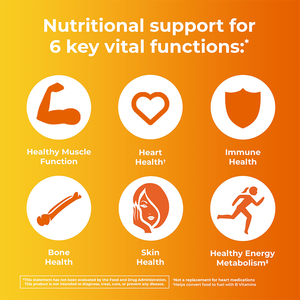 Suplemento de tabletas multivitamínicas para mujeres de LIFEWORTH con vitamina <span class=keywords><strong>B</strong></span>, C, D, E, zinc, biotina para el apoyo de la salud inmunológica - Product Image 3